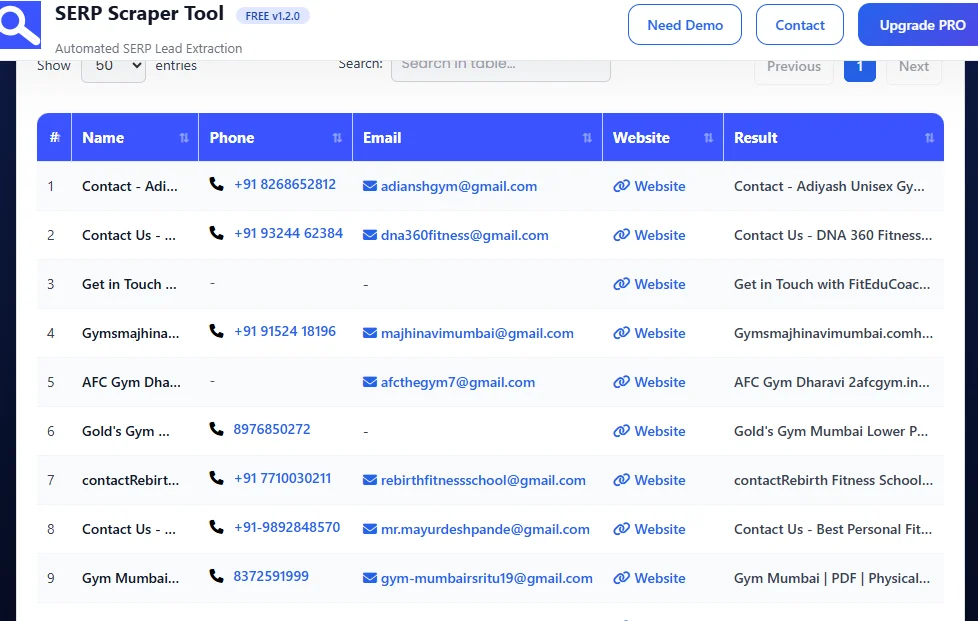 SERP Scrapper Tool DATA